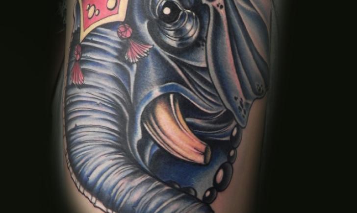 Sketchy Lawyer Elephant Sketchy Lawyer Elephant