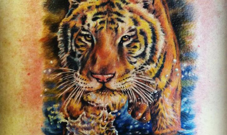 NY Nic Tiger NY Nic Tiger